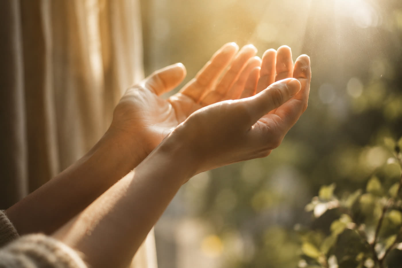 Manos abiertas recibiendo la luz del sol